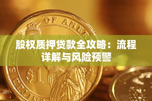 武汉股权质押贷款全攻略：流程详解与风险预警