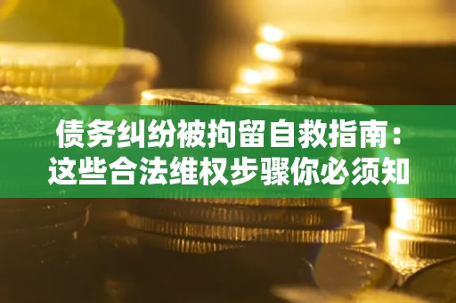 武汉债务纠纷被拘留自救指南：这些合法维权步骤你必须知道！