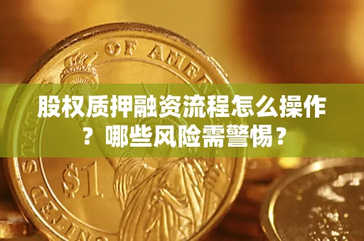 武汉股权质押融资流程怎么操作？哪些风险需警惕？