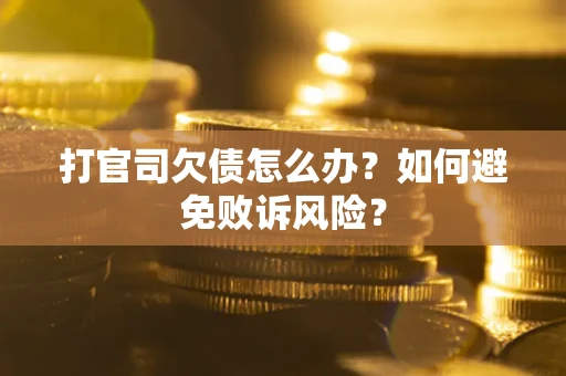 武汉打官司欠债怎么办？如何避免败诉风险？