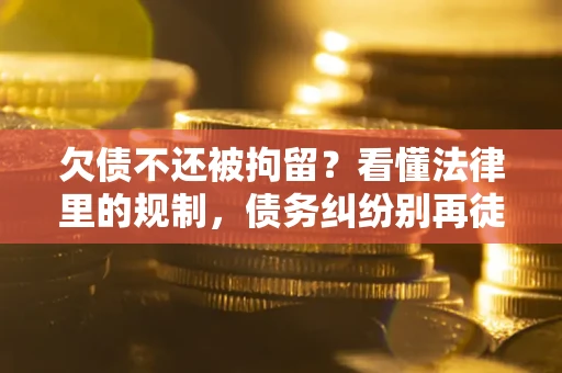 武汉欠债不还被拘留？看懂法律里的规制，债务纠纷别再徒劳奔波