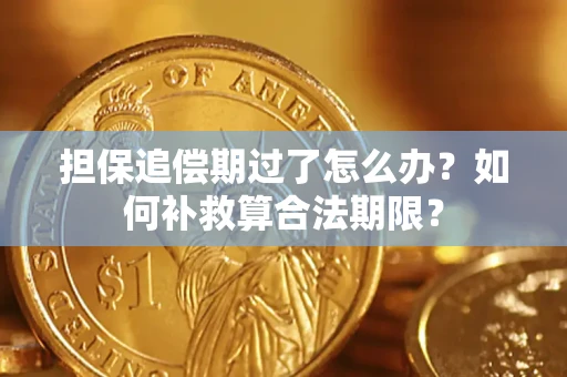 武汉担保追偿期过了怎么办？如何补救算合法期限？