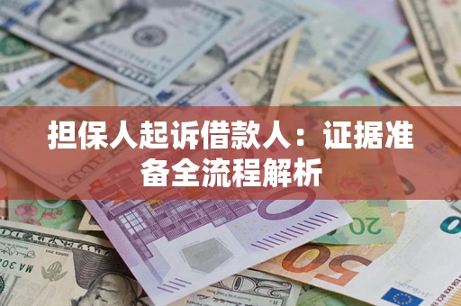 武汉担保人起诉借款人：证据准备全流程解析