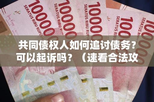 武汉共同债权人如何追讨债务？可以起诉吗？（速看合法攻略）