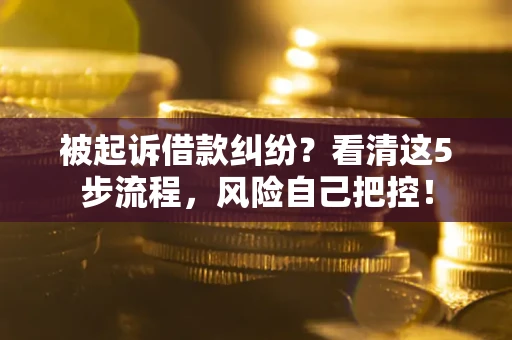 武汉被起诉借款纠纷？看清这5步流程，风险自己把控！