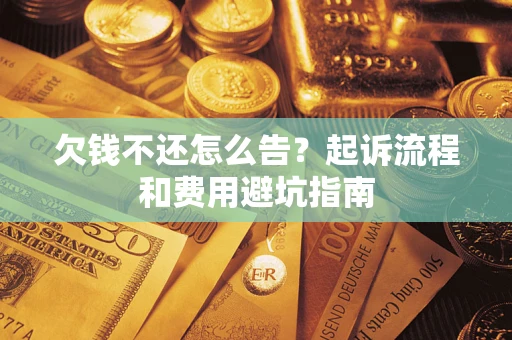 武汉欠钱不还怎么告？起诉流程和费用避坑指南