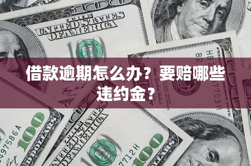 武汉借款逾期怎么办？要赔哪些违约金？